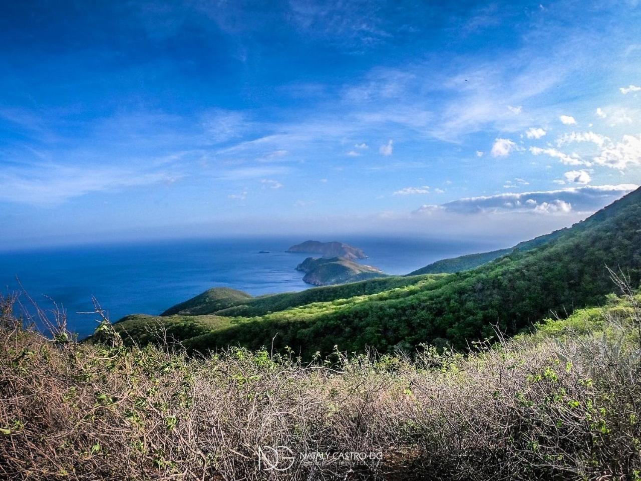 Ocean Lovers Hostel & Apartments Таганга Екстериор снимка