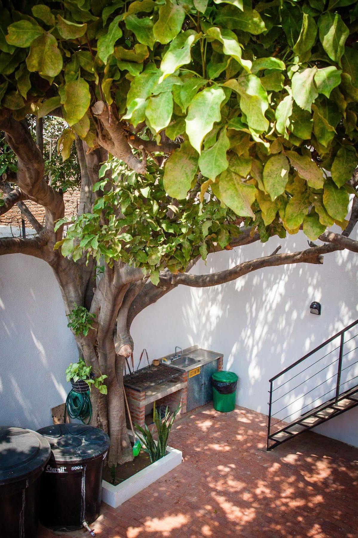 Ocean Lovers Hostel & Apartments Таганга Екстериор снимка